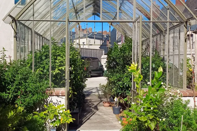 Dans la serre aux agrumes de Christophe Hay, à Fleur de Loire