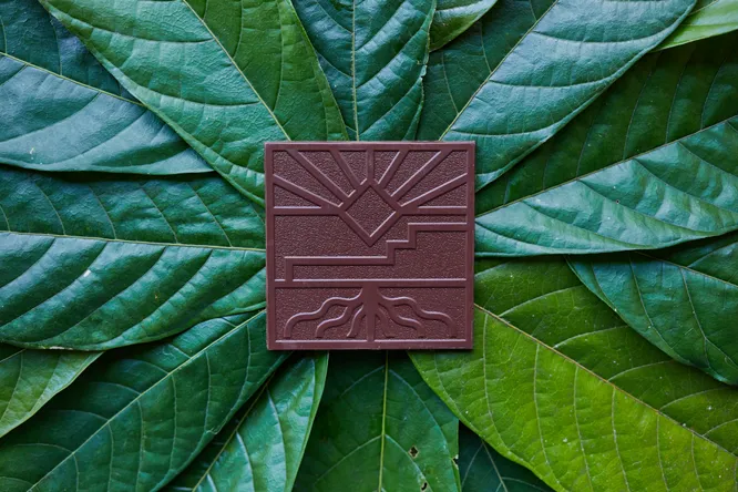 France's most traceable chocolate? Matéo's incredible bet