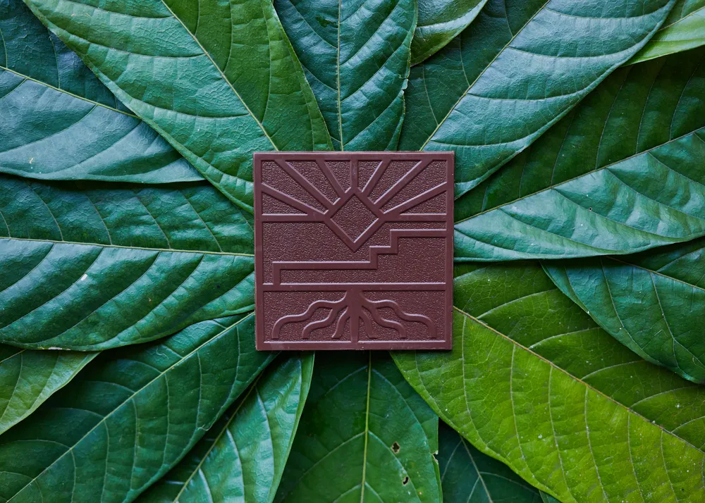 France's most traceable chocolate? Matéo's incredible bet
