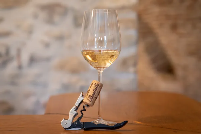 L'art du débouchage : notre sélection de tire-bouchons
